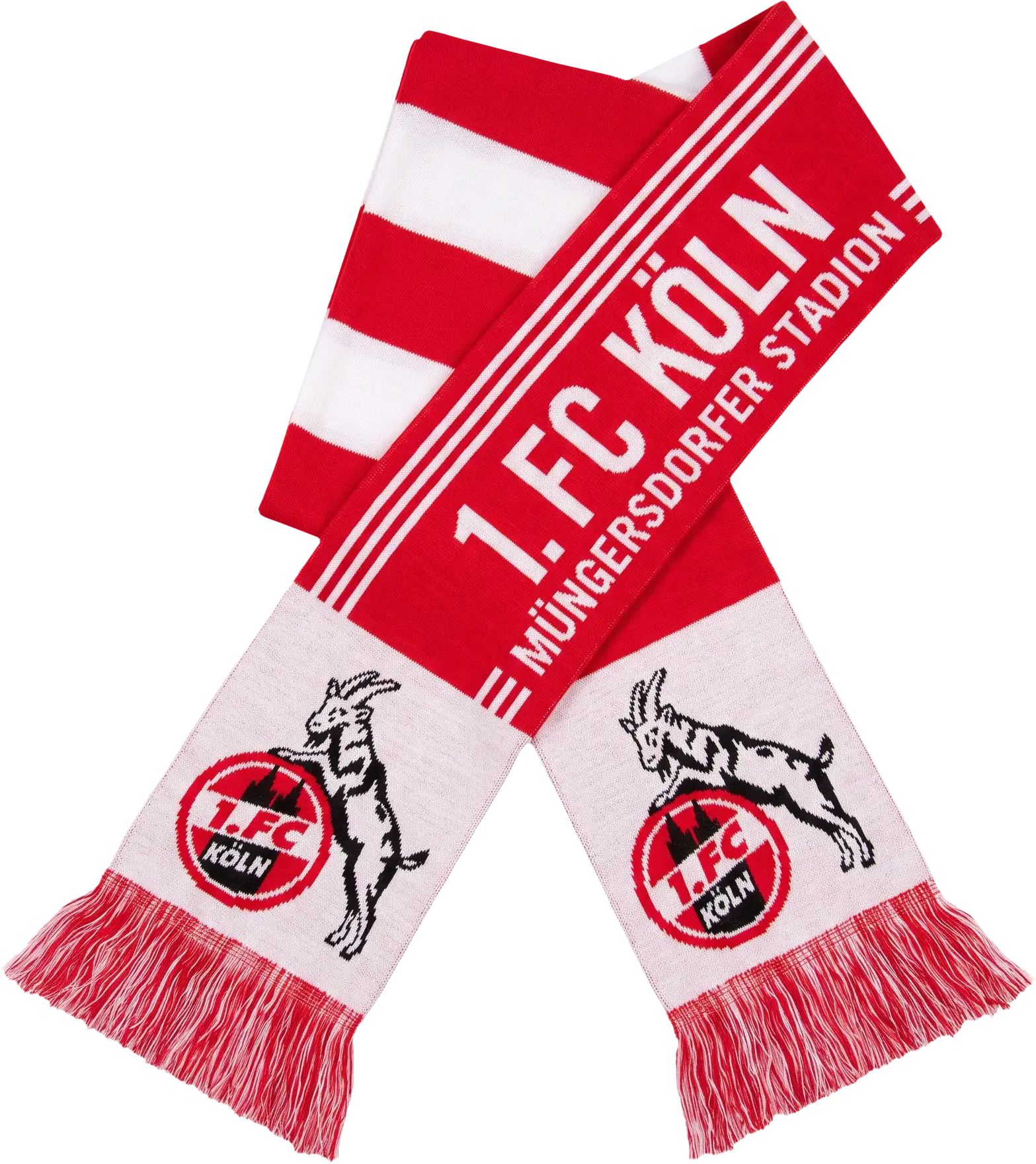1. FC Köln Fanschal